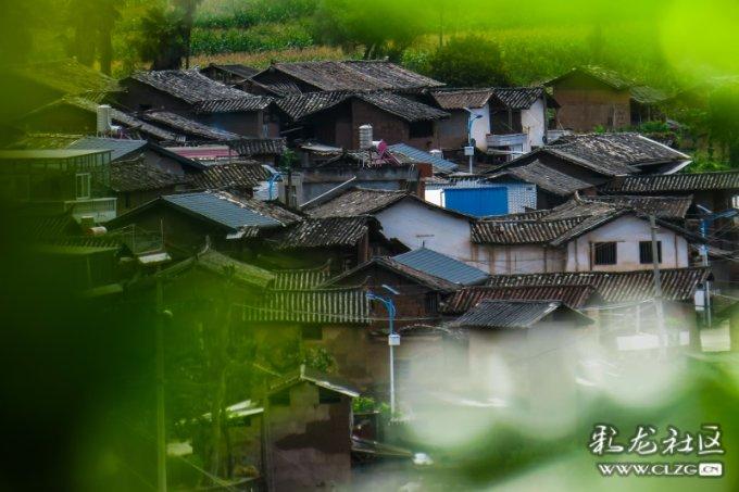本宫来自古代